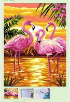 Schilderen op nummer Flamingo's 40x50 met frame