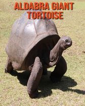 Aldabra Giant Tortoise