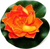 Velda Water Lily Lotus 10 Cm Mousse Oranje/ Vert
