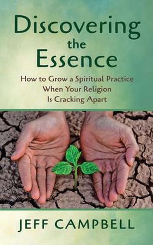 Discovering the Essence - cover
