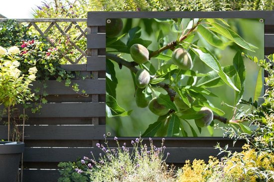 Affiche de jardin noix d'amande toile en vrac 160x120 cm - Toile de jardin / Toile d'extérieur / Peintures d'extérieur (décoration de jardin) XXL / Groot format!