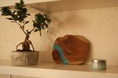 Serveerplankje met rivier van Epoxy Resin Turquoise - Epoxy Hars Woondecoratie - 26 x 20 x 1.5 cm