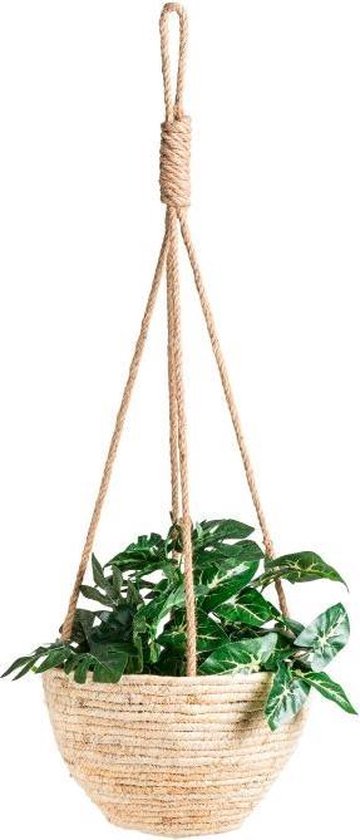 In het algemeen Collega Trend Plantenhanger aan touw - Hangende bloempot - Hangpot voor planten - Binnen  en buiten | bol.com