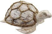 Schildpad kokosnoot