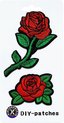 Meerkleurig - roos 2