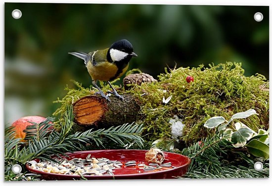 Tuinposter – Vogel bij Natuurstukje - 60x40cm Foto op Tuinposter  (wanddecoratie voor buiten en binnen)