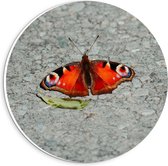 Forex Wandcirkel - Rode Vlinder met Groen Blad - 20x20cm Foto op Wandcirkel (met ophangsysteem)