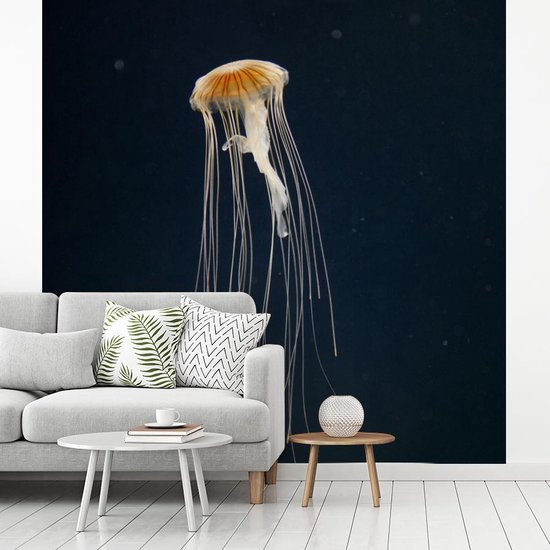 Papier peint Papier peint photo en vinyle - Méduse sur fond sombre largeur 240 cm x hauteur 240 cm - Tirage photo sur papier peint (disponible en 7 tailles)