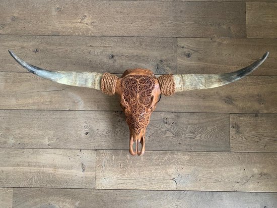 Longhoorn skull uit Bali - Longhoorn - Skull - Longhorn - Buffalo - Buffelschedel - Ibiza Skull - Muurdecoratie - Wanddecoratie - Sfeer - Decoratie - Bali - Cognac - 100 cm