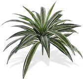 Draceana kunstplant 40cm - groen/bont