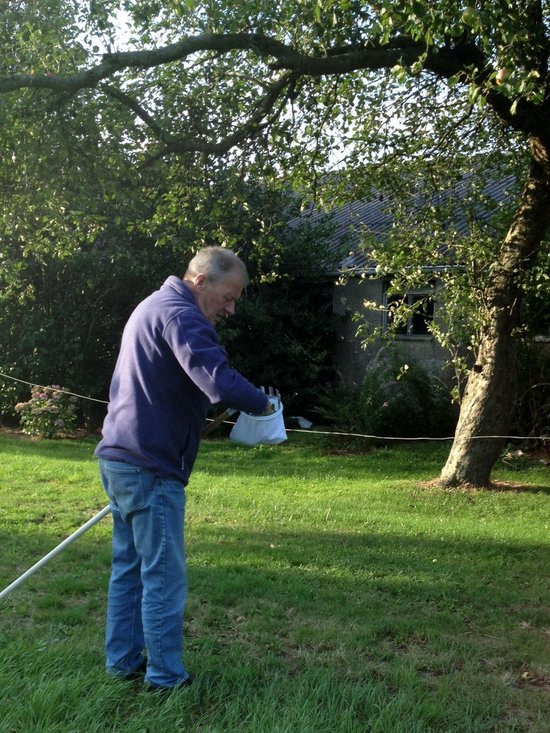 Talen Tools - Fruitplukker - Vruchtenplukker - Zonder steel van Merkloos	 — afbeelding 2