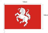 Vlag van Twente, Twentse ros 100 x 150cm