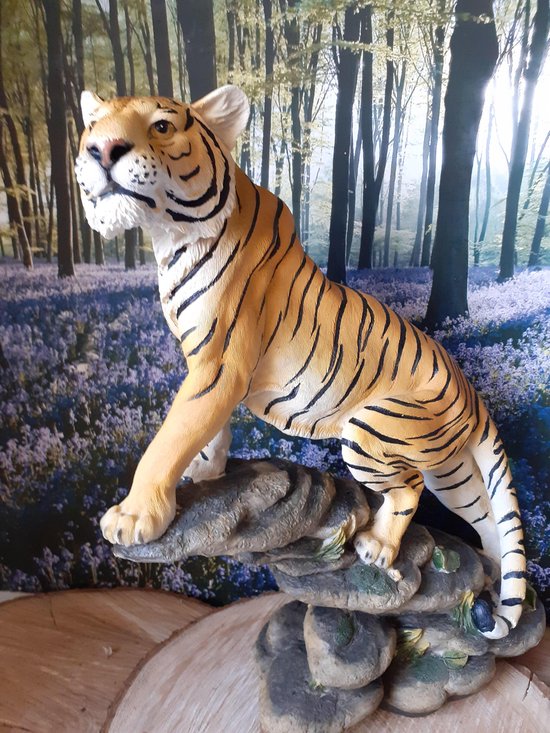 Plaats Ounce Dertig Tijger beeld tijger op een rots Groot van Geharo 37x33x12 cm | bol.com