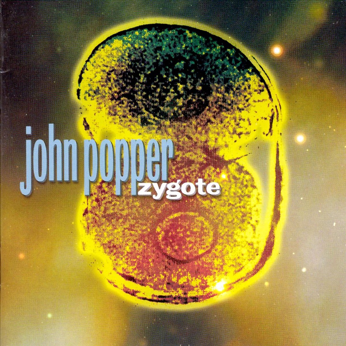 Zygote