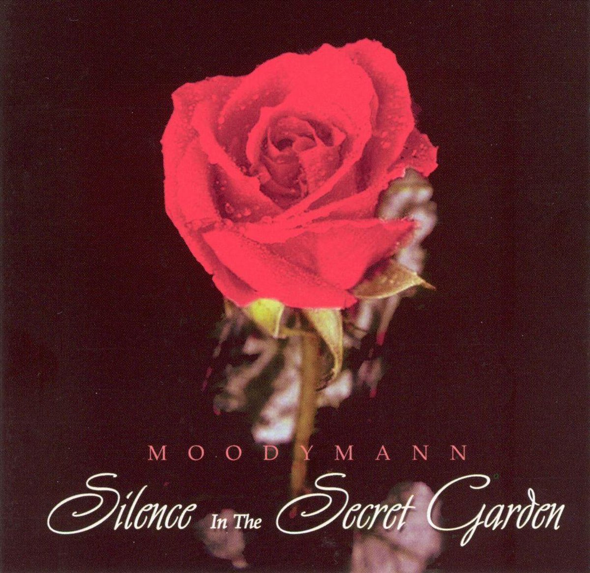 Silence In The Secret Garden