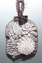 House of seasons Potpourri pine cone witte geur cinnamon set van  12