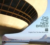 Dig the New Breed: Singles From the New Millennium