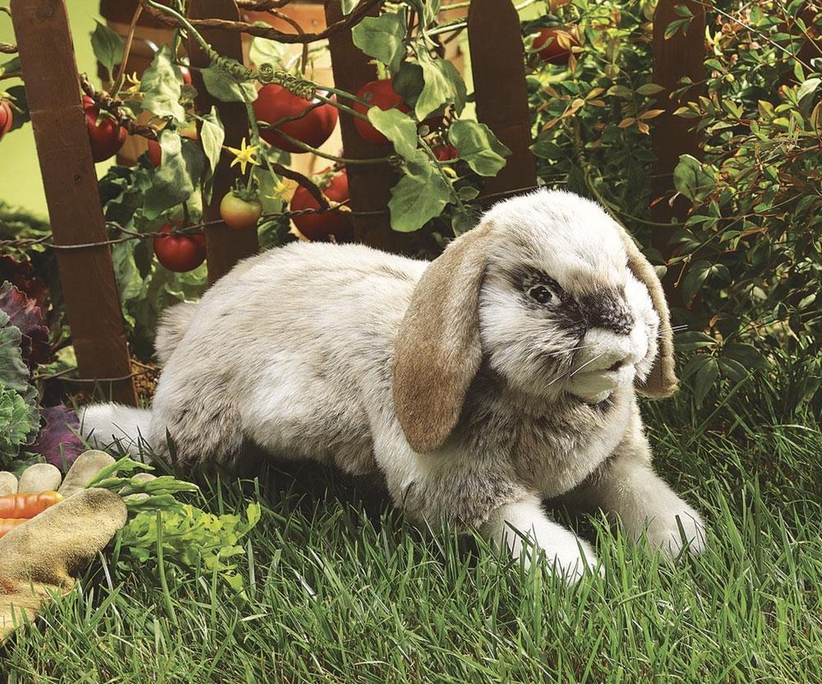 Folkmanis Rabbit, Holland Lop | Games 