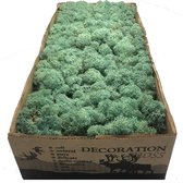 MosBiz Rendiermos Pacific Green per 500 gram voor decoraties en mosschilderijen