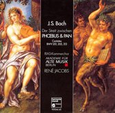 Bach: Phoebus & Pan