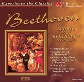 Experience the Classics: Beethoven