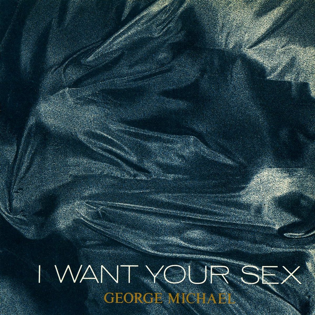 I Want Your Sex