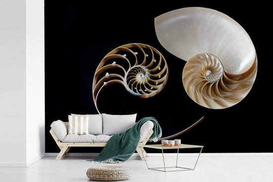 Symbole Yin et Yang de fotobehang escargot