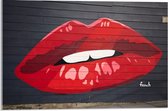 Acrylglas - Muurschildering Rode Lippen - 60x40cm Foto op Acrylglas (Wanddecoratie op Acrylglas)