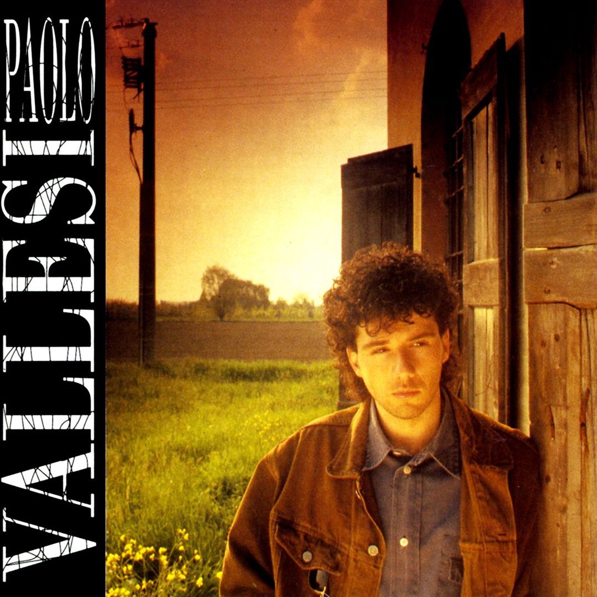 Paolo Vallesi