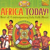 Africa Today: Best of Contemporary Zulu Folk Music