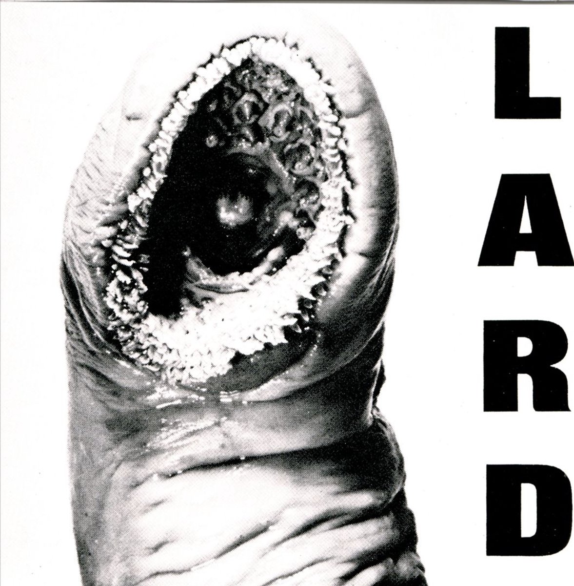 Lard - Power Of Lard (12" Single)