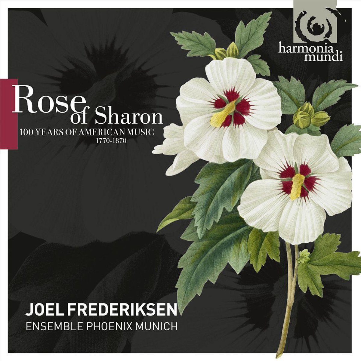 Rose Of Sharon