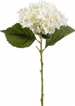 Emerald Kunstbloem hortensia tak - Annabelle - 52 cm - creme - Kunst zijdebloem - Hydrangea
