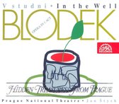 Blodek: In the Well