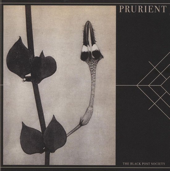 Prurient - The Black Post Society (CD)