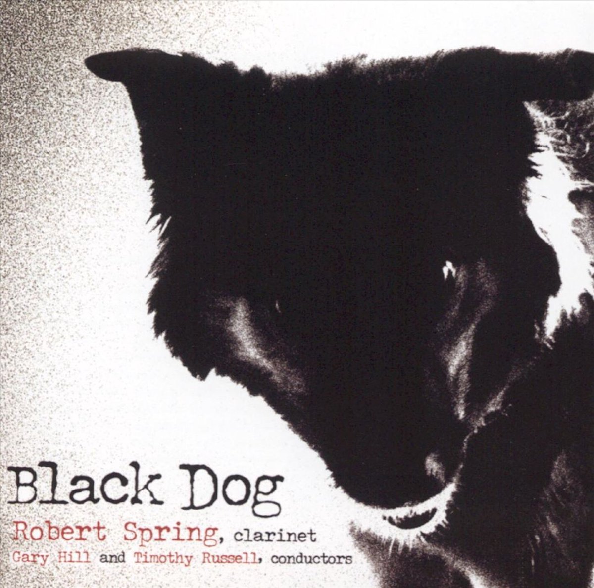 Black Dog