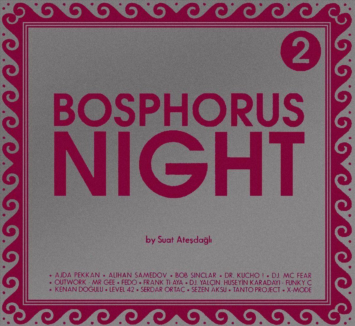 Bosphorus Night