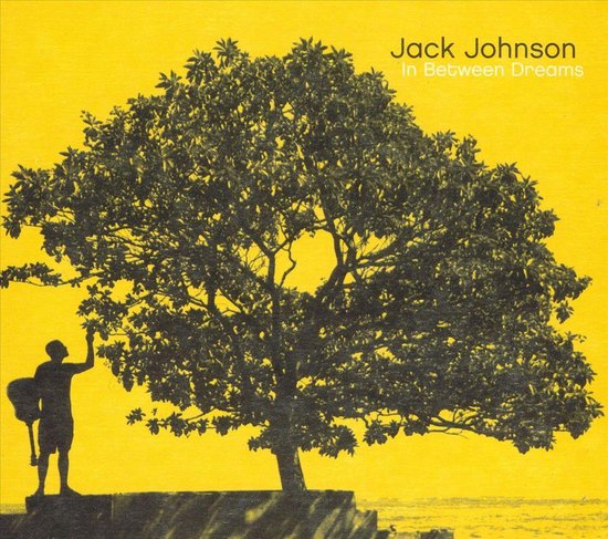 In Between Dreams (LP) - Jack Johnson