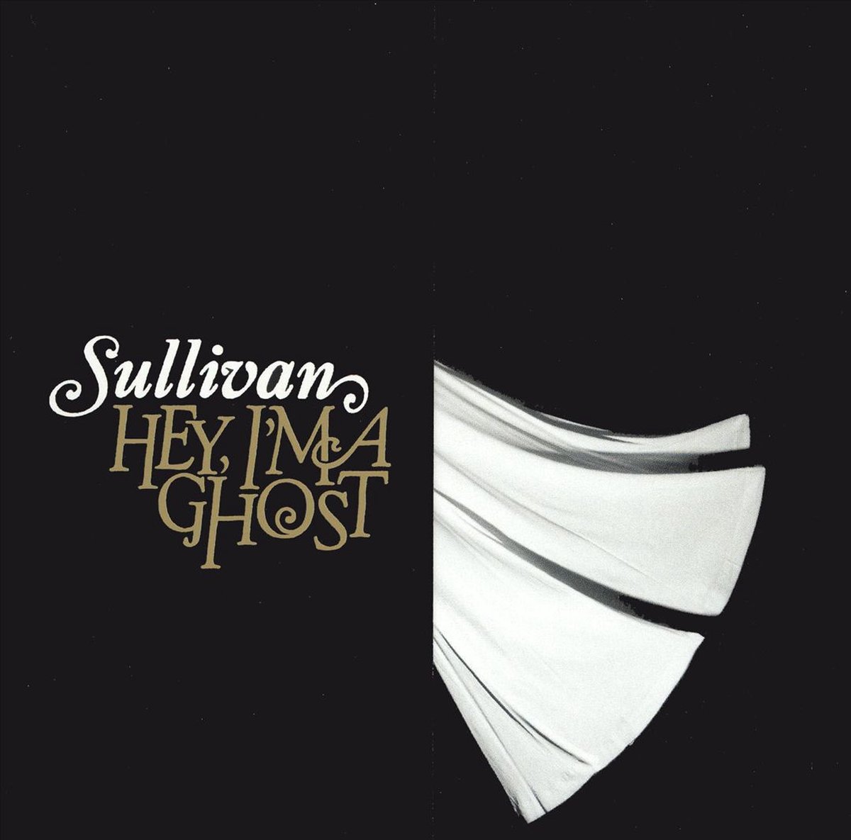 Hey, I'm a Ghost