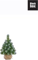 Black Box Trees - Norton kerstboom w-burlap groen frosted TIPS 40 - h45xd20cm - Kerstbomen