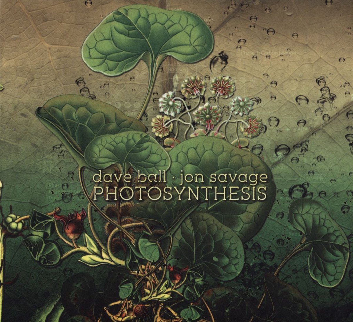 Dave Ball & Jon Savage - Photosynthesis (CD)