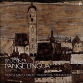 Musica Saeculorum - Pange Lingua - Motetten (CD)