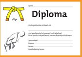 Diploma Geel/Oranje