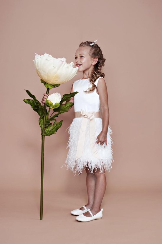 Matig Patch Viool Bruidsmeisjes jurk kind meisje verenjurkjes jurkje met veertjes | bol.com
