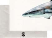 Realistische Tekening Postkaarten: Sealife: Vis (Rode Snapper), Haai (Rifhaai), Schildpad, Heremiet kreeft en Kwal - Set van 5 kaarten - Geprint op Duurzaam Papier