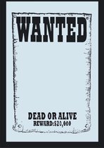 Spiegel - Wanted Dead or Alive - Wandspiegel met omlijsting - 32x22cm