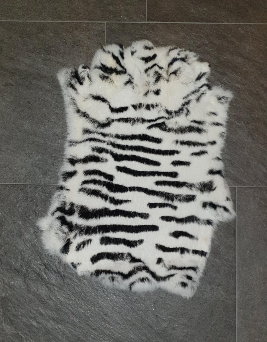 Zebra Wit