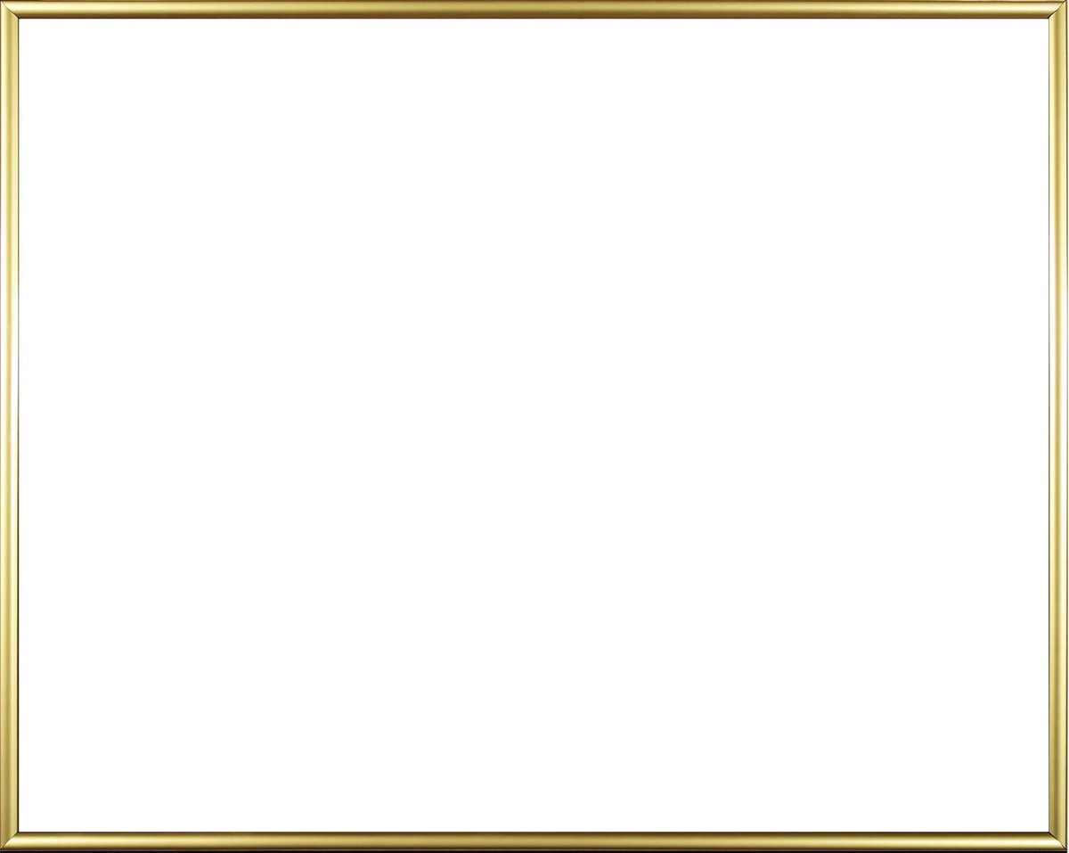 Easy kunststof fotolijst 29x60 cm, goud