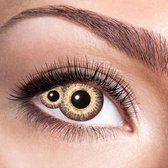Sclera Mummie 6-maandlenzen (paar)