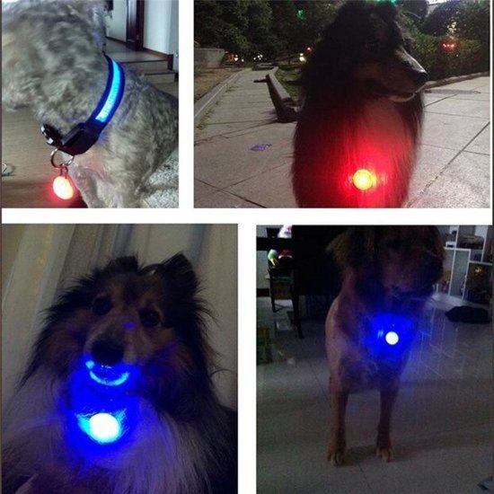 Doe voorzichtig opvoeder tweeling lampje honden - Led lampje - Ledlampje - Led lampje halsband hond -  Zichtbaar - Donker... | bol.com